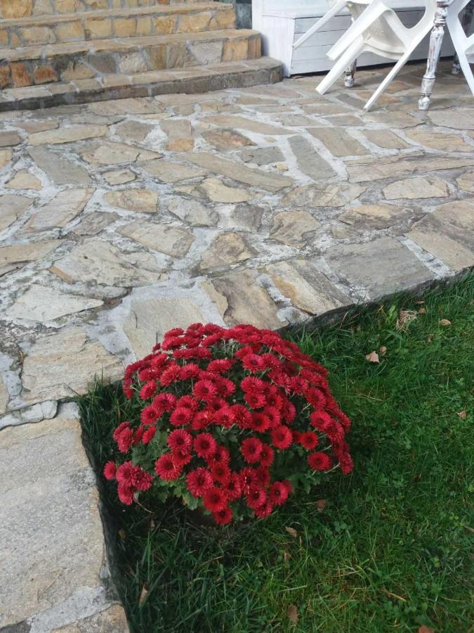 сладък живот Villa Tsigov Chark